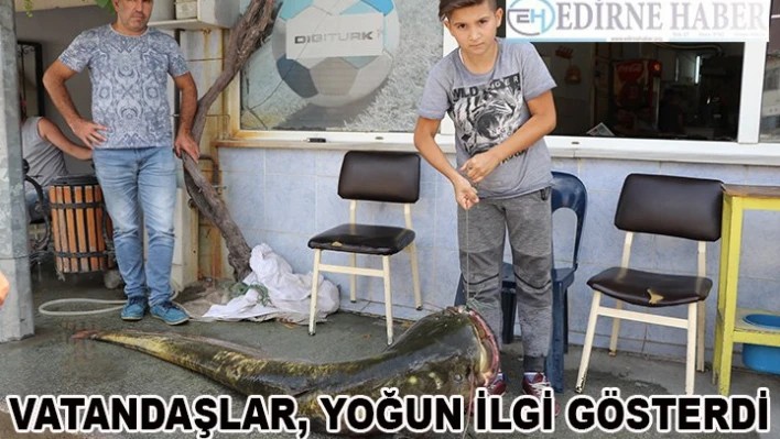 Balığı 3 kişi zor taşıdı