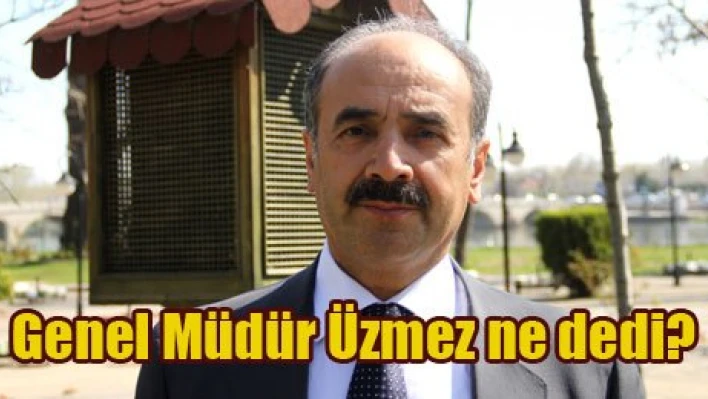 Orman varlığı artıyor