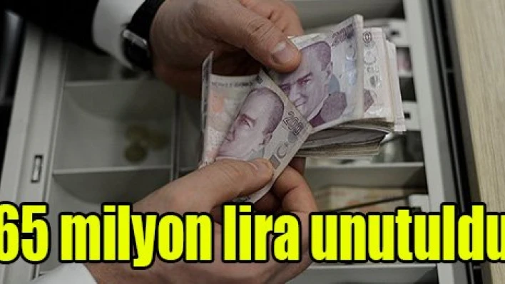 65 milyon lira unutuldu