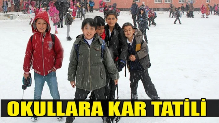 Okullara kar tatili