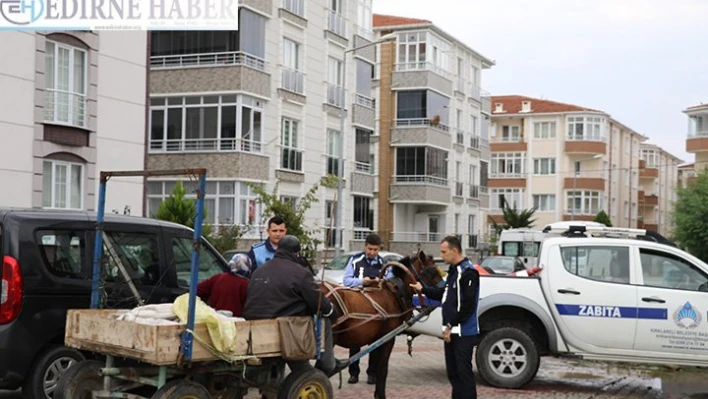 At arabası denetimi