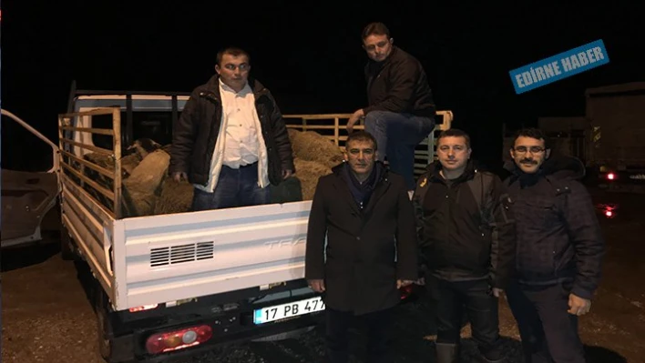 Hibe Koyunları sahiplerini buldu
