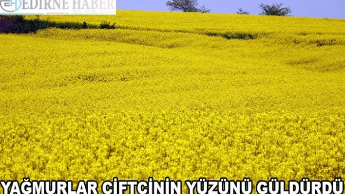 Yağmurlar çiftçinin yüzünü güldürdü