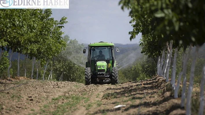  435 milyon lira gelir bekleniyor