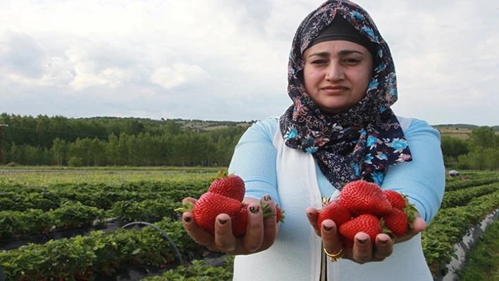 Kendi işinin patronu oldu