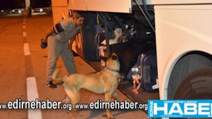 Aramalara köpeklerde katılıyor