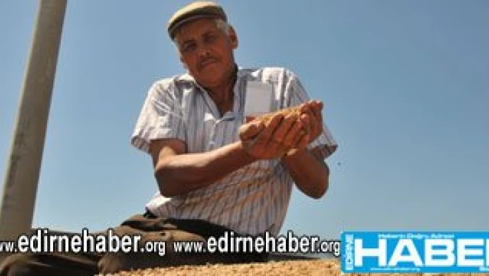 Embriyo kararması fiyatı düşürdü
