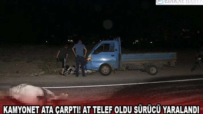 Kamyonet ata çarptı! At telef oldu sürücü yaralandı