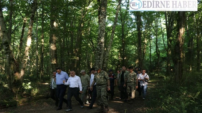 İğneada Longoz Ormanları'na kuş gözlem kulesi yapılacak