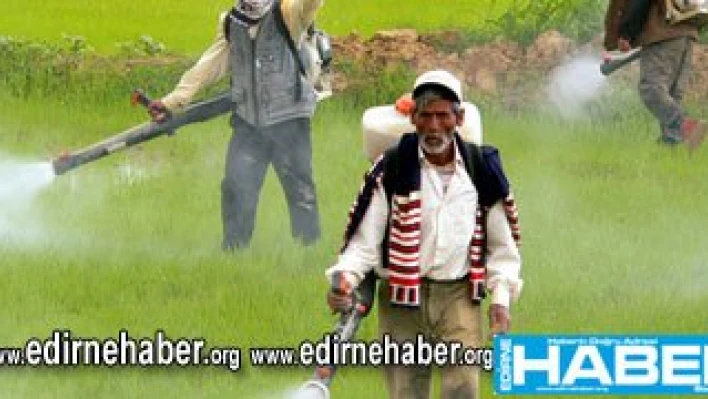 'Çeltikçinin sesini duyan yok'