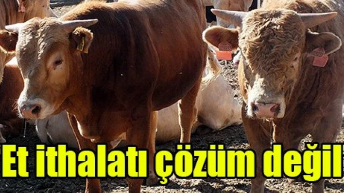 'Et ithalatı çözüm değil'