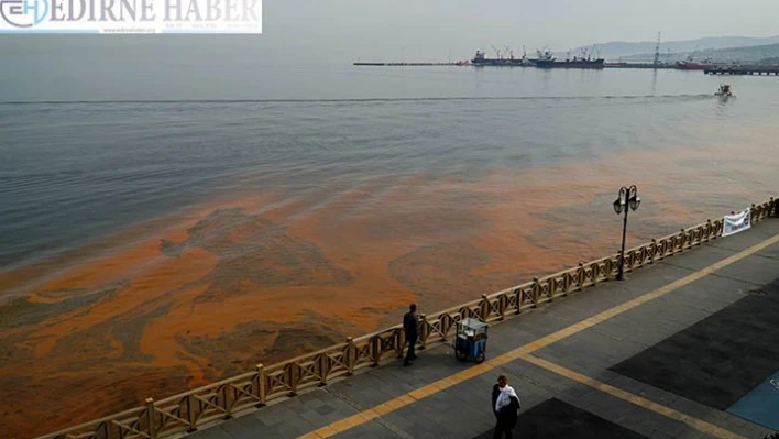 Marmara Denizi'ndeki plankton kaynaklı turunculuk