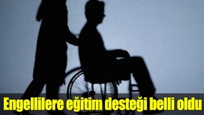 Engellilere verilecek eğitim desteği belirlendi