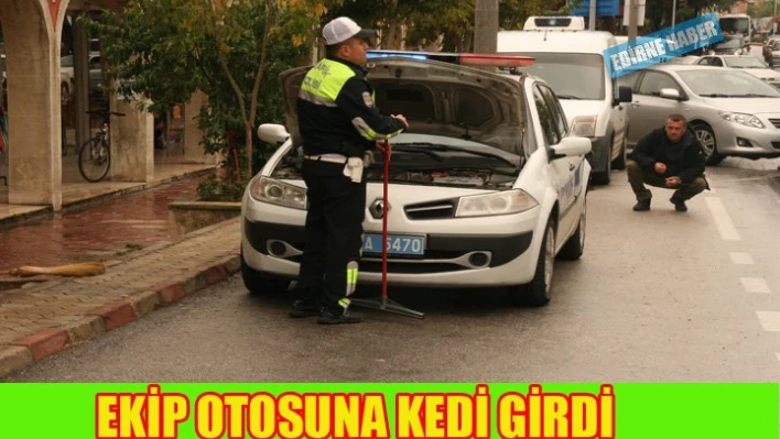 Ekip arabasına Kedi girdi