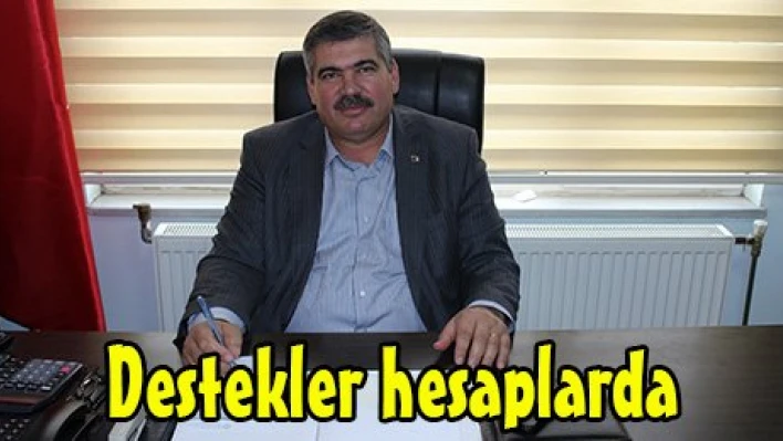Destekler hesaplarda