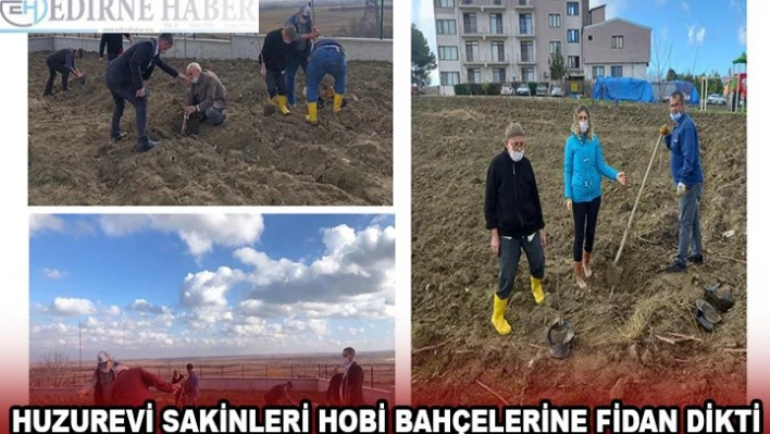 Edirne'de huzurevi sakinleri hobi bahçelerine fidan dikti