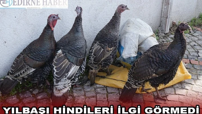 YILBAŞI HİNDİLERİ İLGİ GÖRMEDİ