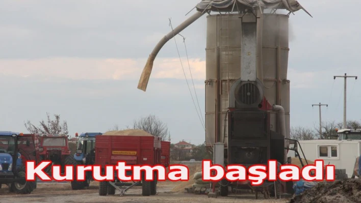 Önce biçtiler, şimdi kurutuyorlar