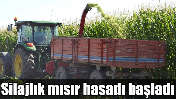 Bunlar da hayvanlar için