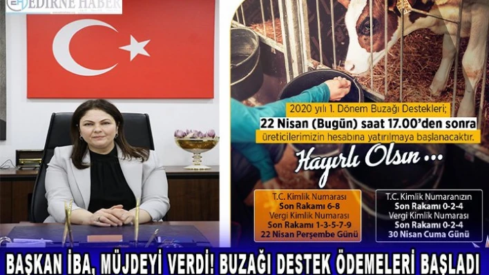 Başkan İba, müjdeyi verdi! Buzağı destek ödemeleri başladı