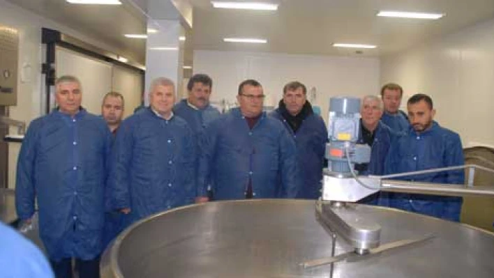 Hollanda çıkarması