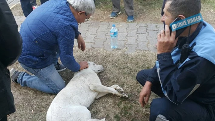Tedavi altına alındı