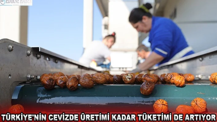 Türkiye'nin cevizde üretimi kadar tüketimi de artıyor