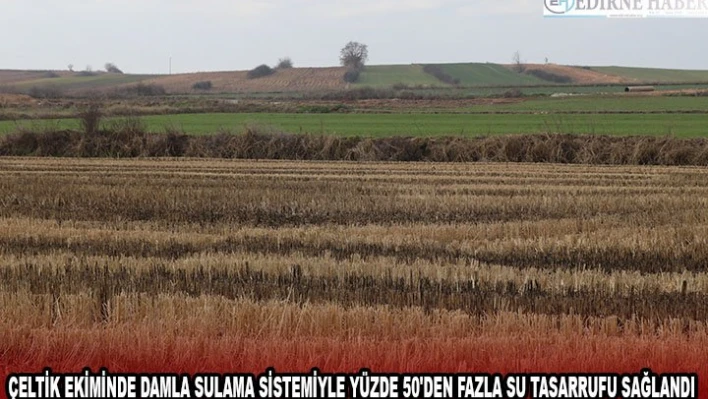 ÇELTİK EKİMİNDE DAMLA SULAMA SİSTEMİYLE YÜZDE 50'DEN FAZLA SU TASARRUFU SAĞLANDI