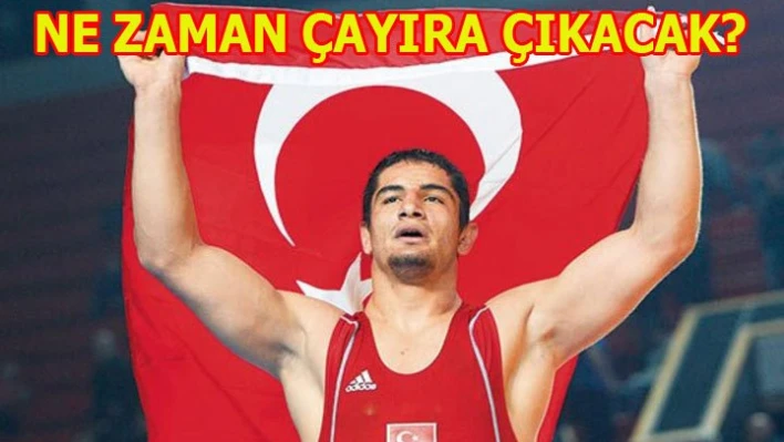 'Taha, çayıra Olimpiyattan sonraÂ  çıkacak'