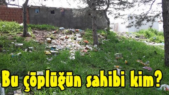 Bu çöplüğün sahibi kim?