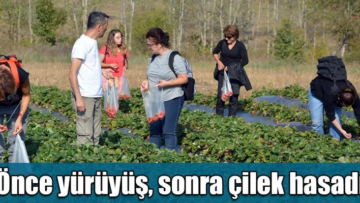 Çilek hasatlı başlangıç