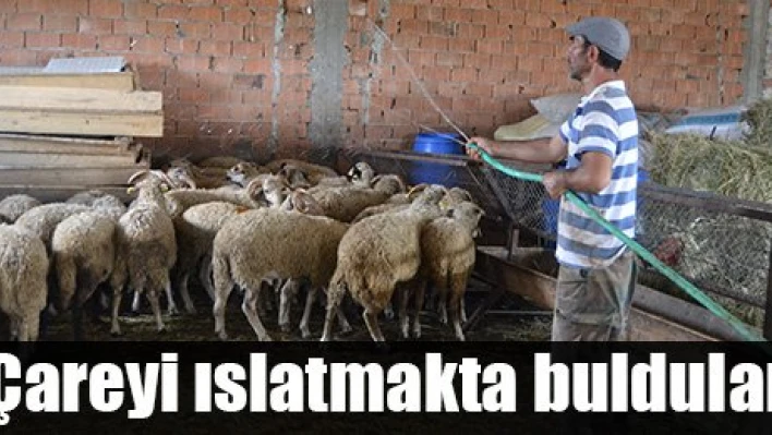 Hortumla serinliyorlar
