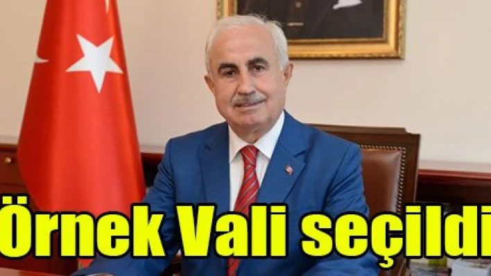Örnek Vali seçildi
