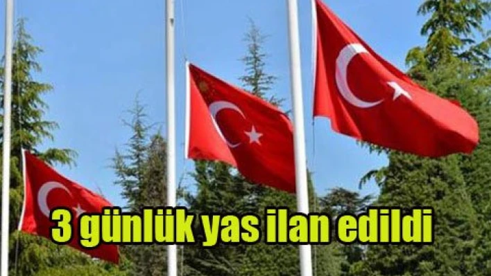 3 günlük yas