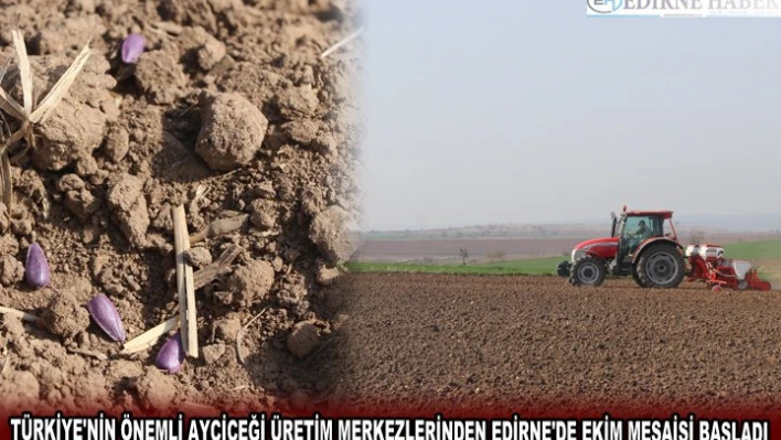 TÜRKİYE'NİN ÖNEMLİ AYÇİÇEĞİ ÜRETİM MERKEZLERİNDEN EDİRNE'DE EKİM MESAİSİ BAŞLADI