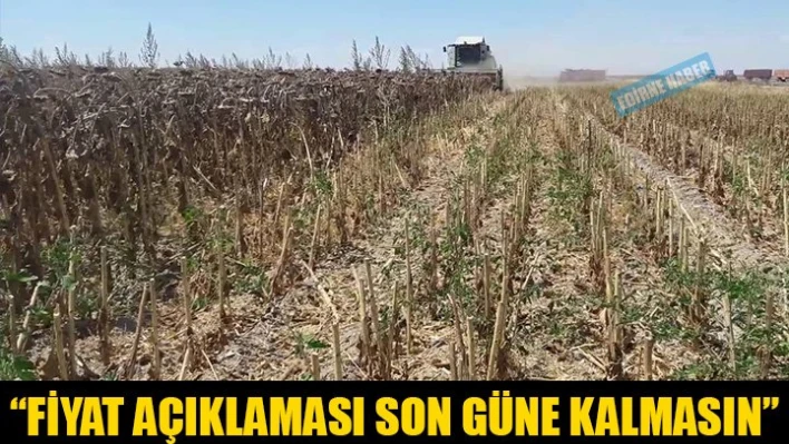 Üretici taban fiyat bekliyor