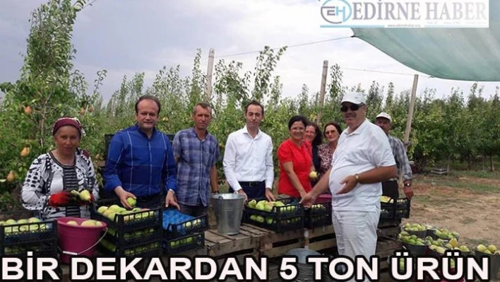 'Bir dekardan 5 ton ürün'