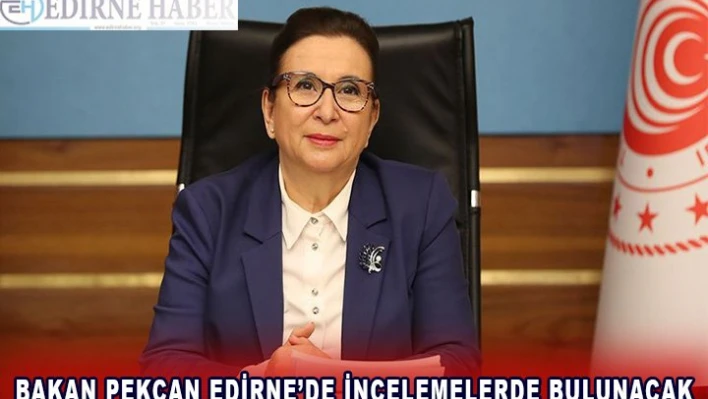 Ticaret Bakanı Ruhsar Pekcan Edirne'de incelemelerde bulunacak