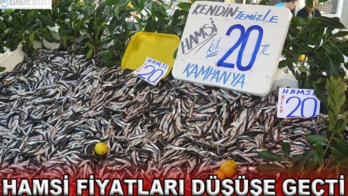 Hamsi fiyatları düşüşe geçti