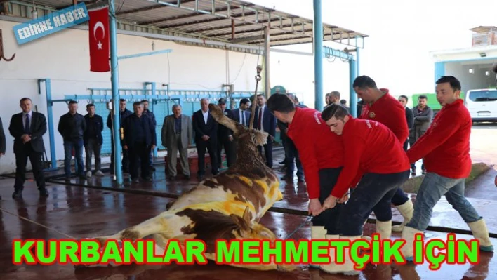 Mehmetçik için kurban oldular