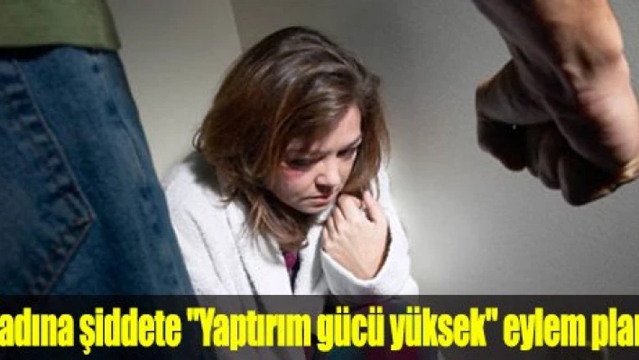 Kadına şiddete 'Yaptırım gücü yüksek' eylem planı