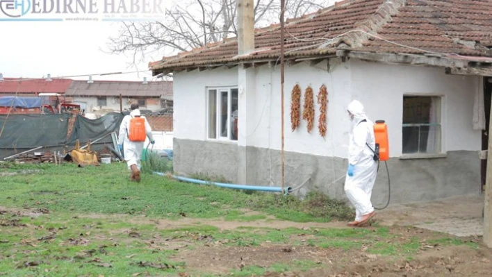  Sinek ve haşereyle etkin mücadele yürütülüyor