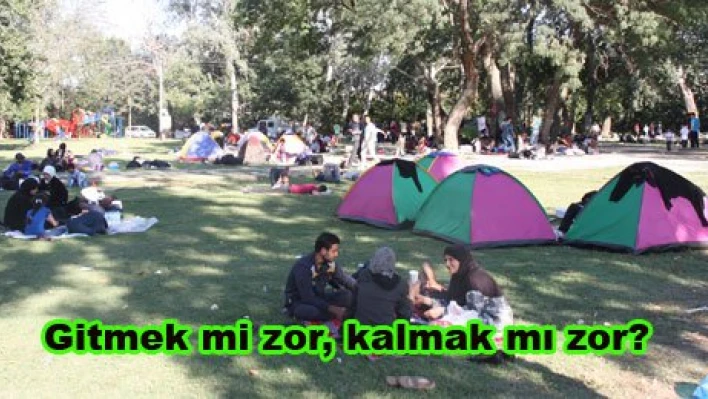 Gidecekler mi? Kalacaklar mı?