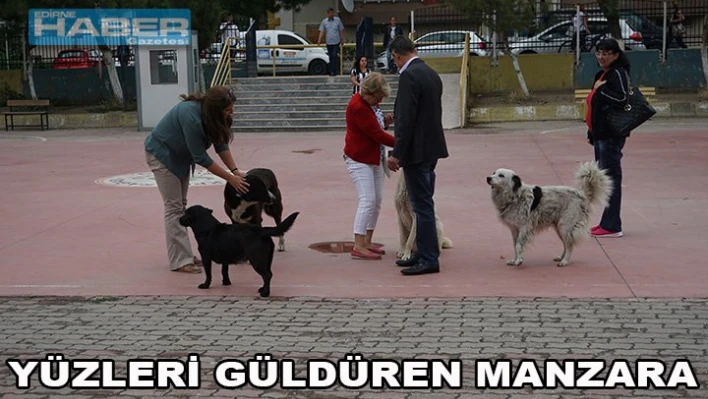 Seçim manzaraları