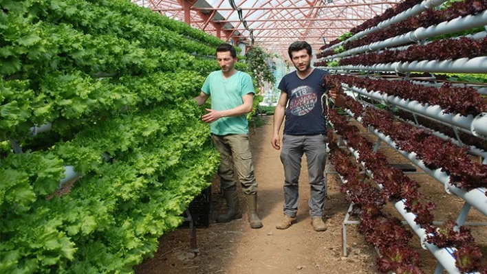 Verim üçe katlandı
