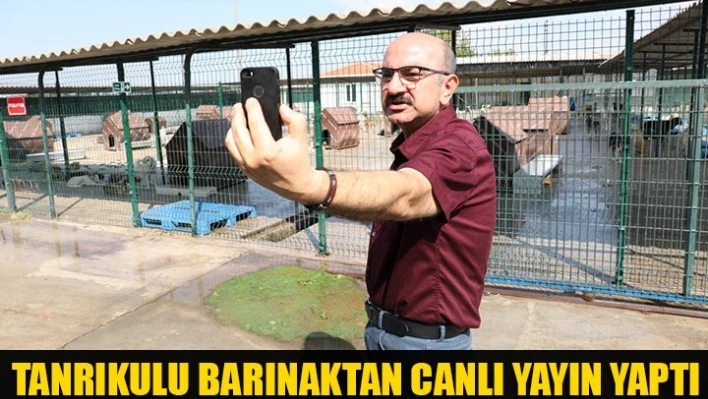 'Gelin yerinde görün'