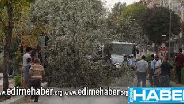 Serinlik fırtına getirdi