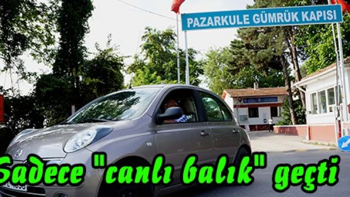 Sadece 'canlı balık' geçti