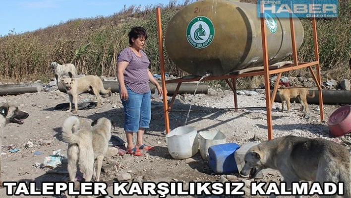 Temiz su sevinci