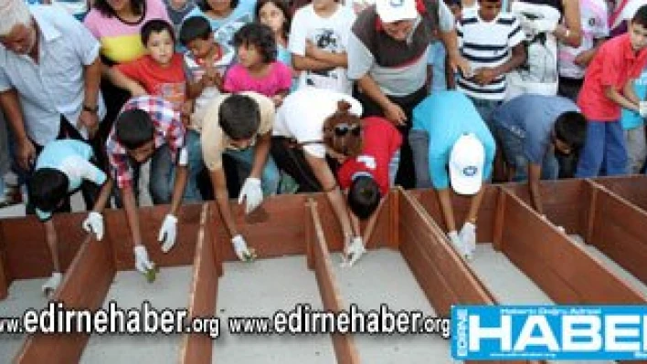 Kurbağalar yarıştı